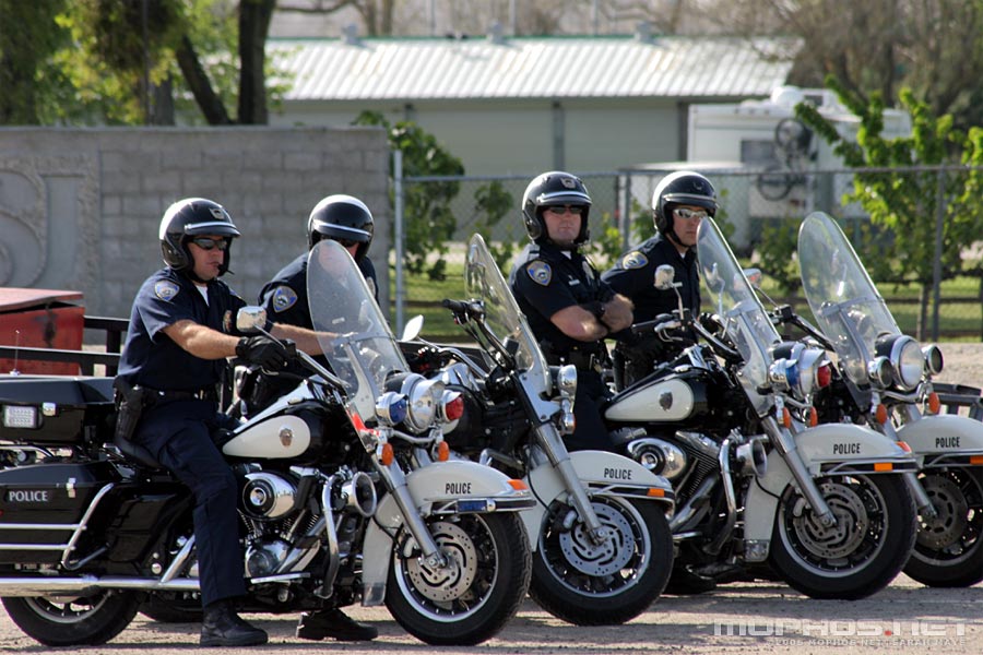 popo2.jpg